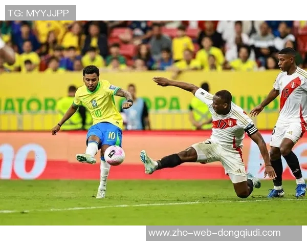 巴西足球场的魅力与激情探索南美足球文化的独特魅影